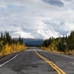 asphalt road between trees in autumnal colors with the view of a snowcapped mountain