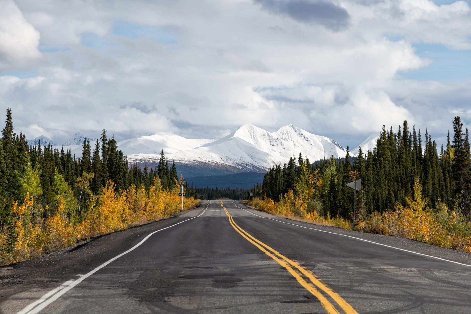 asphalt road between trees in autumnal colors with the view of a snowcapped mountain